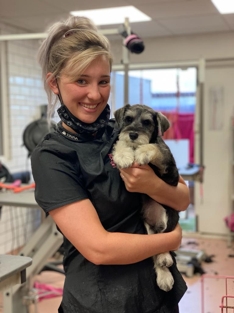 A Brite Barks groomer cuddling a schnauzer puppy in the salon