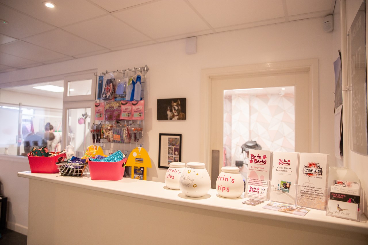 The Brite Barks reception counter with treats, toys and accessories