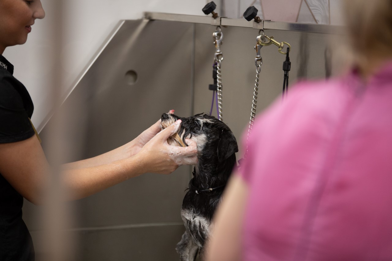 A small black dog being washed in the bath