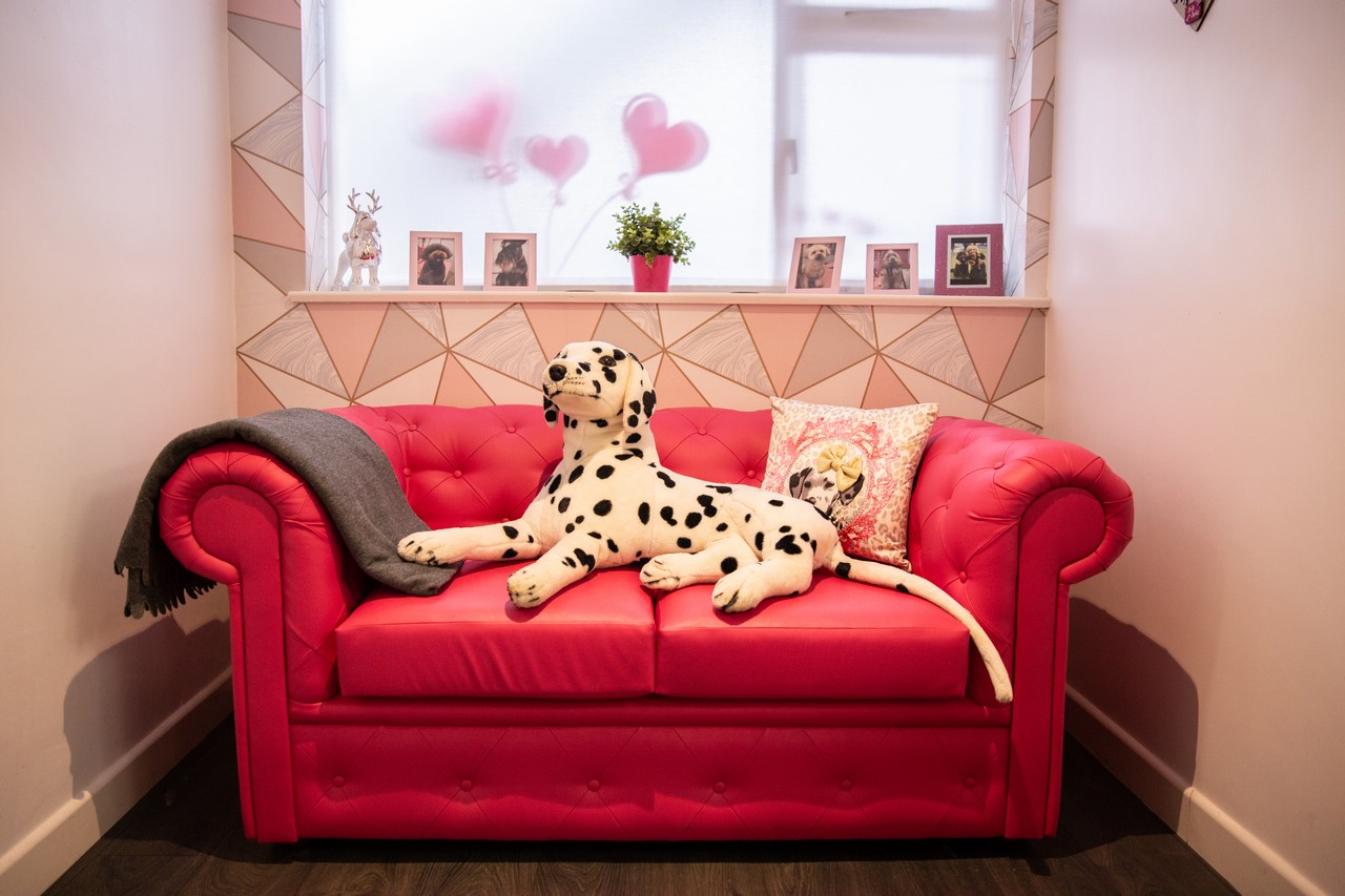 The red Chesterfield sofa in the waiting area with a Dalmatian cushion